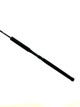 Load image into Gallery viewer, 15-20 lb Jigging Rod